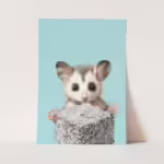Wall Art Print - Possum