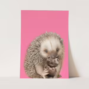 Wall Art Print - Echidna
