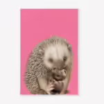 Aussie Animals Tea Towel - Echidna