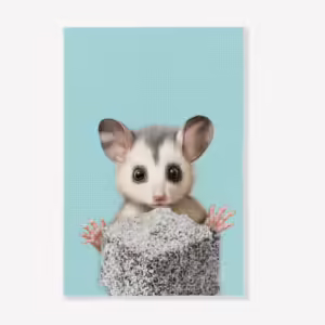 Aussie Animals Tea Towel - Possum