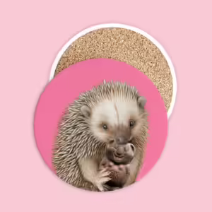 Ceramic Coaster - Echidna