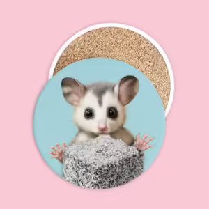 Ceramic Coaster - Possum