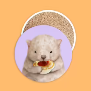 Ceramic Coaster - Wombat