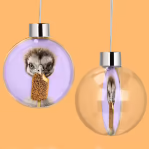 Christmas Decoration Bauble - Emu