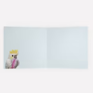 Greeting Card - Cockatoo