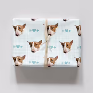 Photo Face Wrapping Paper - Hearts & Arrows