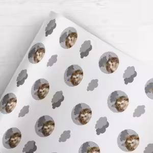 Photo Face Wrapping Paper - Clouds