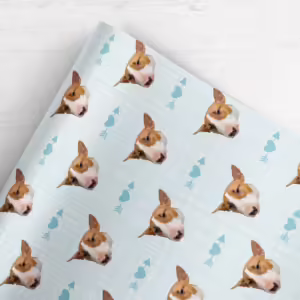 Photo Face Wrapping Paper - Hearts & Arrows
