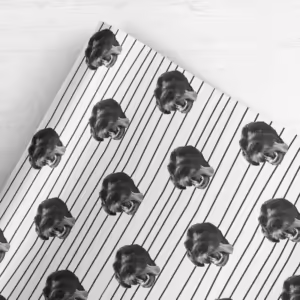 Photo Face Wrapping Paper - Stripes