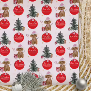 Personalised Christmas Wrapping Paper - Princess Oodle