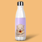 Stainless Steel Drink Bottle - Australian Wombat