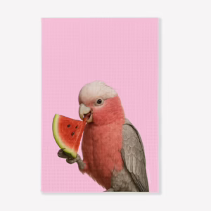 Aussie Animals Tea Towel - Galah