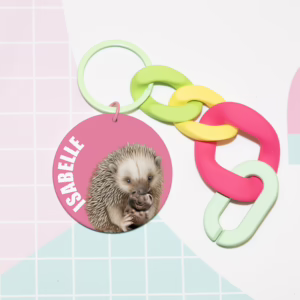 Keychain - Australian Echidna