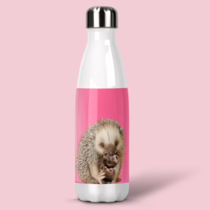 Stainless Steel Drink Bottle - Australian Echidna