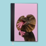 A5 Notebook - Australian Frilled Neck Lizard