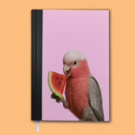 A5 Notebook - Australian Galah