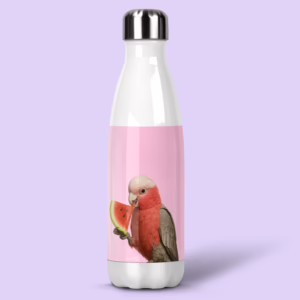 Stainless Steel Drink Bottle - Australian Galah