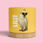 Plant Pot - Glam Cockatoo