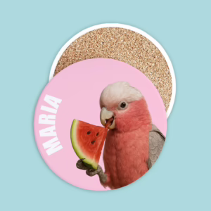 Ceramic Coaster - Galah