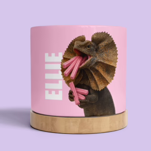 Plant Pot - Kookaburra