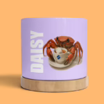 Plant Pot - Crab