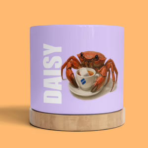Plant Pot - Crab