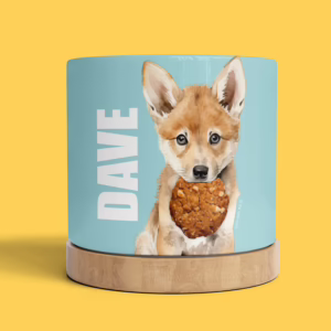 Plant Pot - Dingo