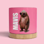 Plant Pot - Glam Echidna
