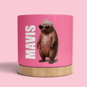 Plant Pot - Glam Echidna