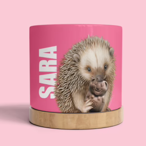 Plant Pot - Echidna