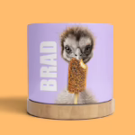 Plant Pot - Emu