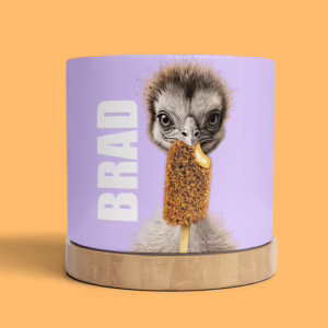 Plant Pot - Emu