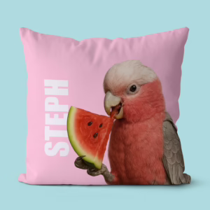 Canvas Cushion - Galah