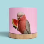 Plant Pot - Galah