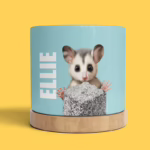 Plant Pot - Possum