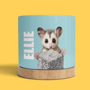 Plant Pot - Possum