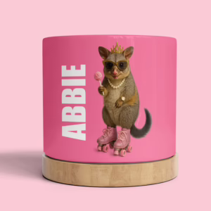 Plant Pot - Glam Possum