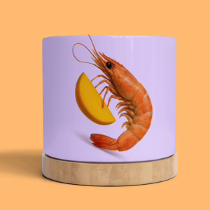 Plant Pot - Prawn