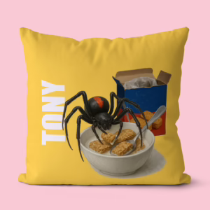 Canvas Cushion - Red Back Spider