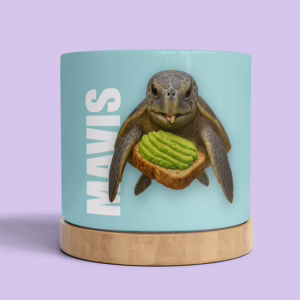 Plant Pot - Sea Turtle