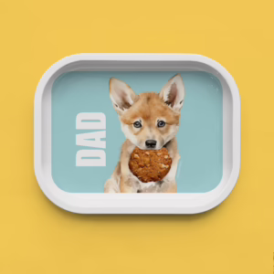 Trinket Tray - Dingo