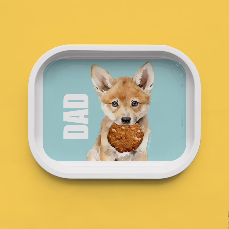 Trinket Tray - Dingo