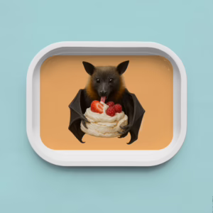 Trinket Tray - Bat
