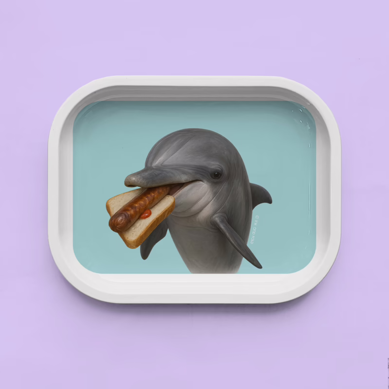 Trinket Tray - Dolphin