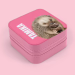 Travel Jewellery Case - Echidna