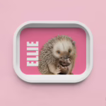 Trinket Tray - Echidna