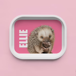 Trinket Tray - Echidna