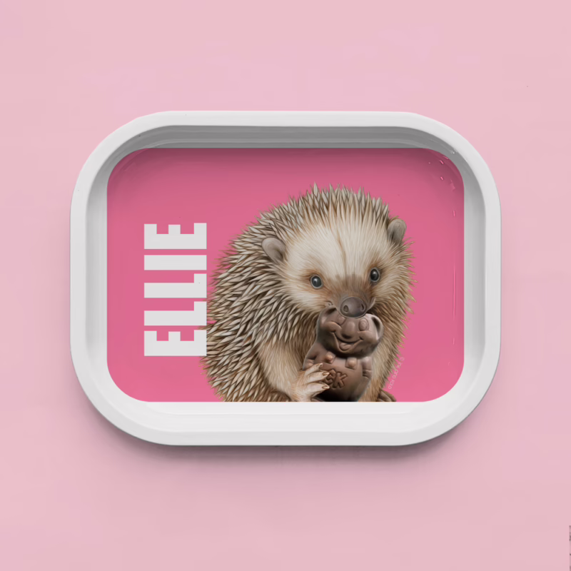 Trinket Tray - Echidna