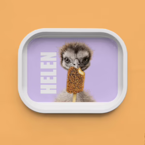 Trinket Tray - Emu