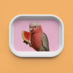 Trinket Tray - Galah